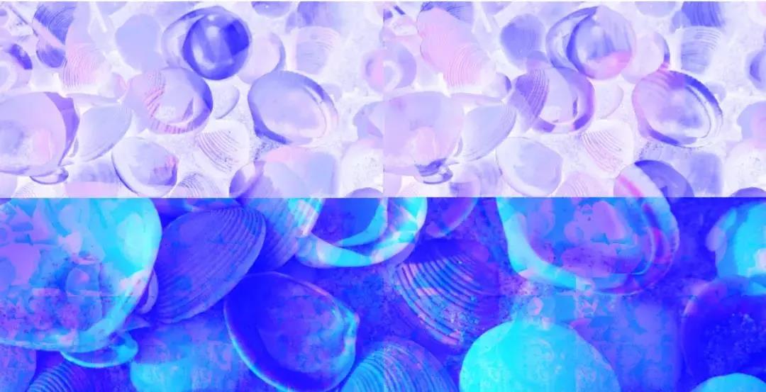 Huntress在1900台Exchange检测到140多种Web shell.jpg